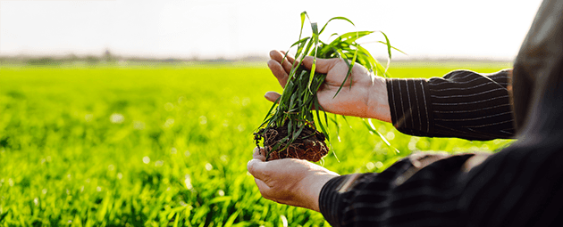 home-financiamiento-clientes-amauta