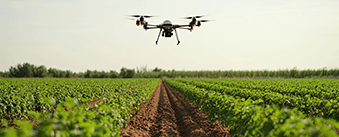 BSJ - Empresas - Financiación - home-capital-trabajo-sustentable