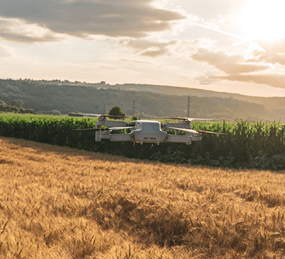 fertilizantes-section