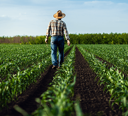 dolares-capital-trabajo-section
