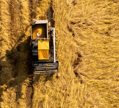 agroinsumos-clientes-don-mario-section