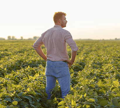 financiamiento-dolares-capital-trabajo-section