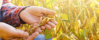 BSJ - Empresas - Financiacion - agroinsumos-agri-liquid-solutions-home