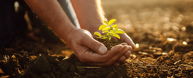 home-capital-trabajo-clientes-basf