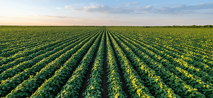 fertilizantes-hero-mobile