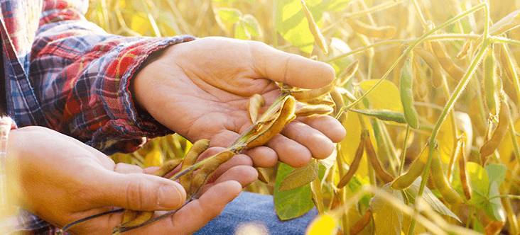 BSJ - Empresas - Financiación - Linea ALS - Hero Image