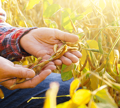 BSJ - Empresas - Financiacion - agroinsumos-agri-liquid-solutions-hero